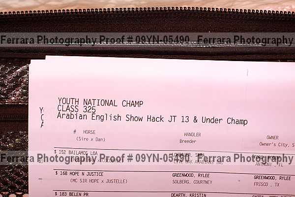 Proof 09yn-05490