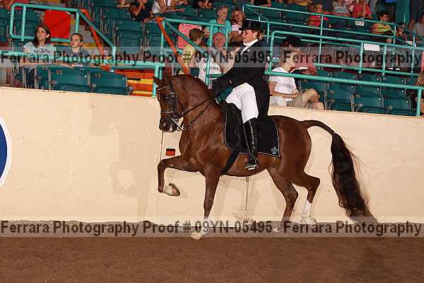 Proof 09yn-05495