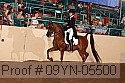 09yn-05500 proof