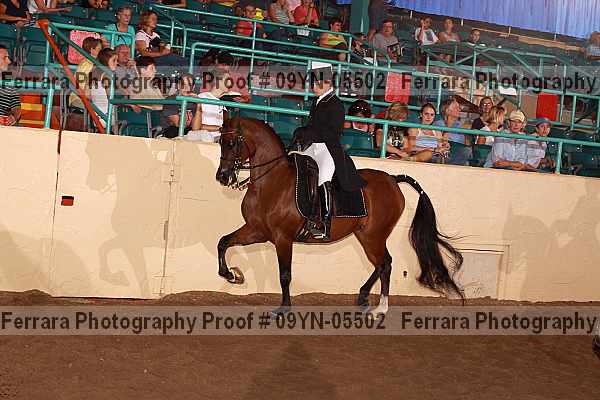 Proof 09yn-05502