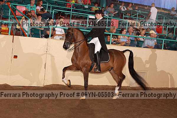 Proof 09yn-05503