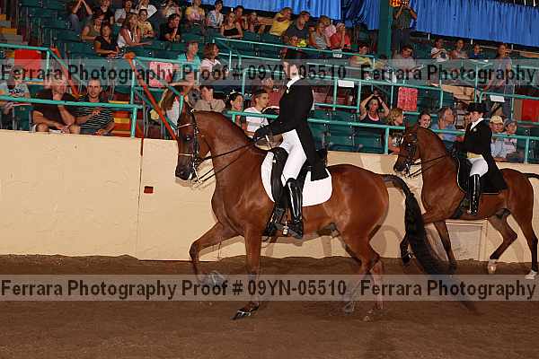 Proof 09yn-05510