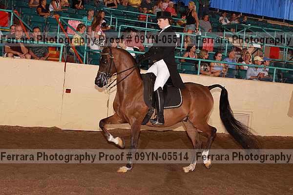Proof 09yn-05514