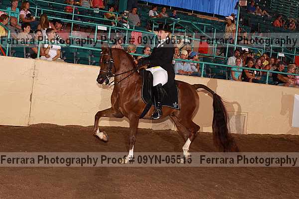 Proof 09yn-05515