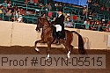 09yn-05515 proof