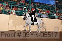 09yn-05517 proof