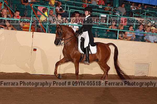 Proof 09yn-05518