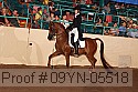 09yn-05518 proof