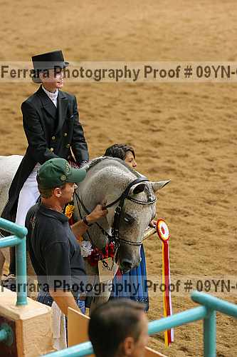 Proof 09yn-05532