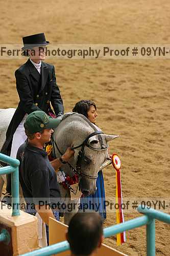Proof 09yn-05533