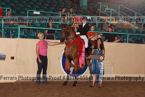 Proof 09yn-05541