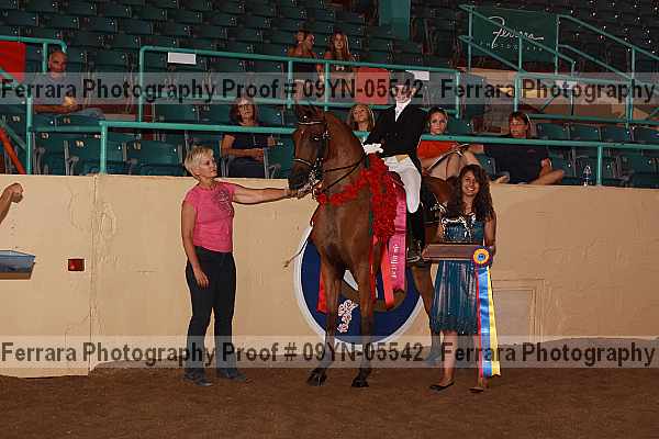 Proof 09yn-05542