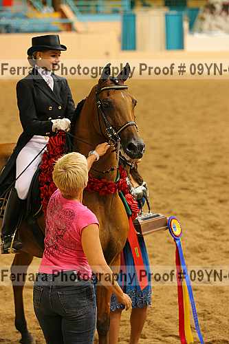 Proof 09yn-05552