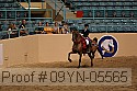 09yn-05565 proof