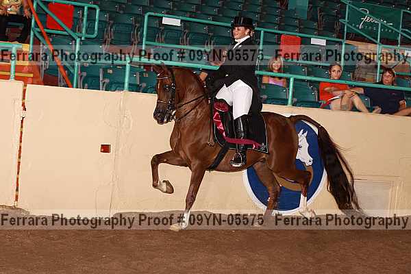 Proof 09yn-05575