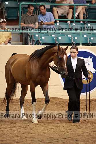 Proof 09yn-06302