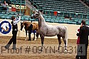09yn-06314 proof