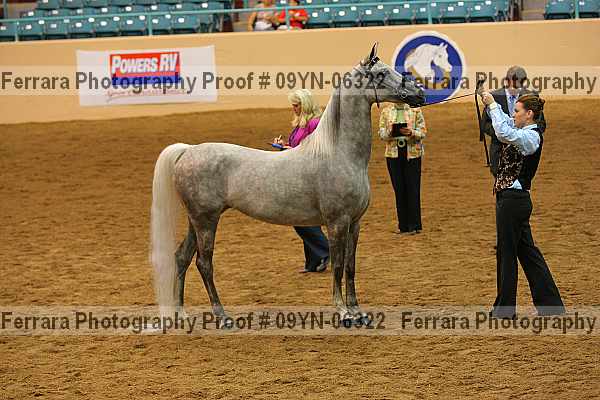 Proof 09yn-06322