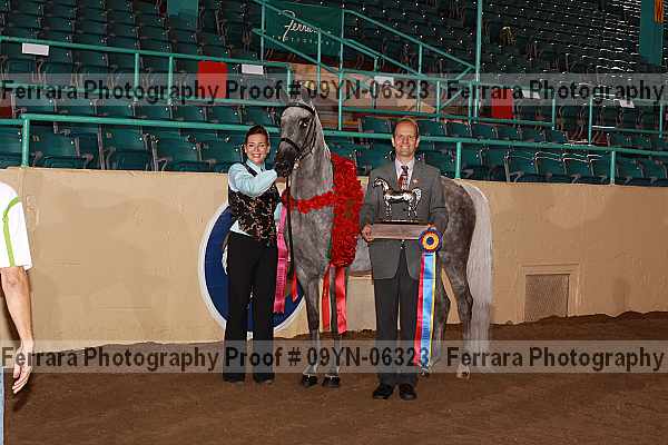 Proof 09yn-06323