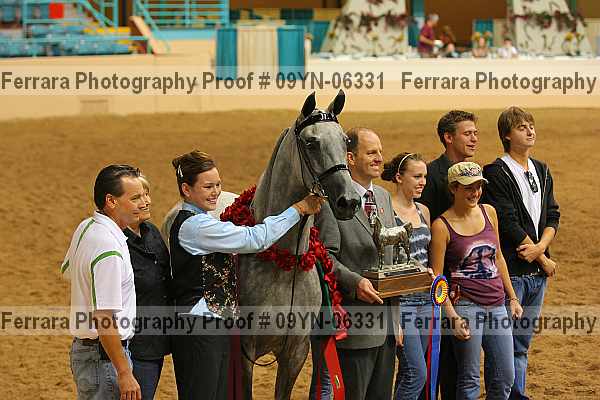 Proof 09yn-06331