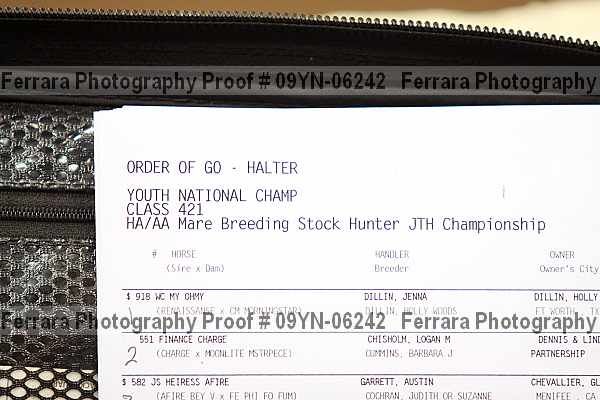 Proof 09yn-06242