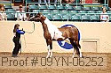 09yn-06252 proof