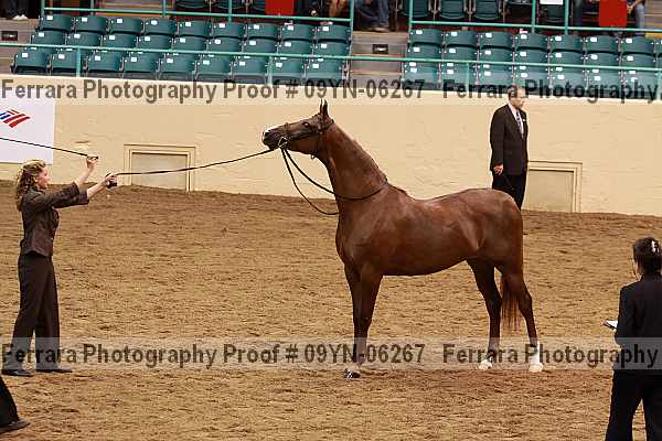 Proof 09yn-06267