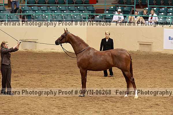 Proof 09yn-06268
