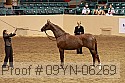 09yn-06269 proof