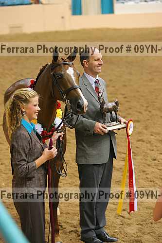 Proof 09yn-06272