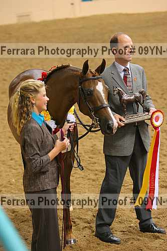 Proof 09yn-06275