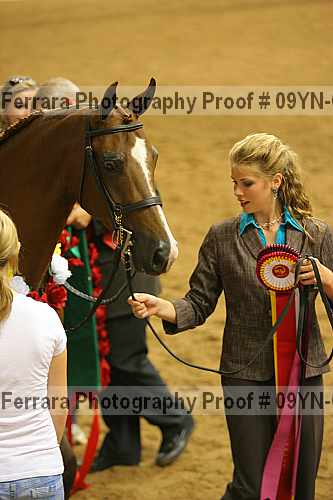 Proof 09yn-06281