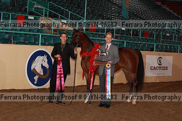 Proof 09yn-06283