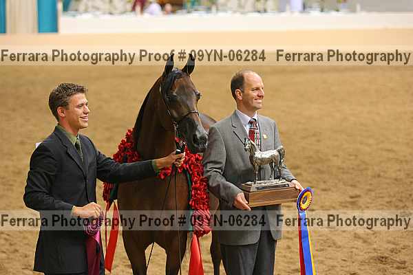 Proof 09yn-06284