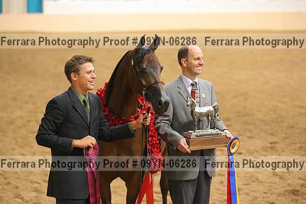 Proof 09yn-06286