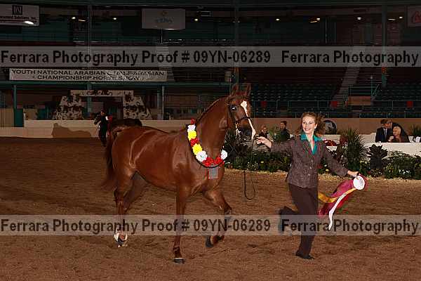 Proof 09yn-06289