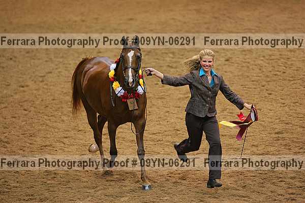 Proof 09yn-06291