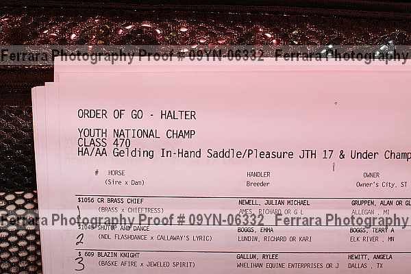 Proof 09yn-06332