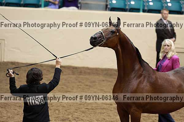 Proof 09yn-06346