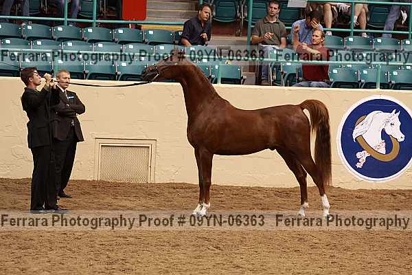 Proof 09yn-06363