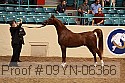 09yn-06366 proof