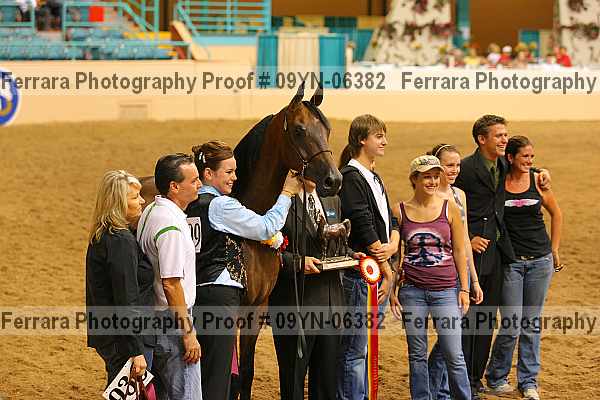 Proof 09yn-06382