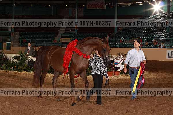 Proof 09yn-06387