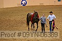 09yn-06389 proof
