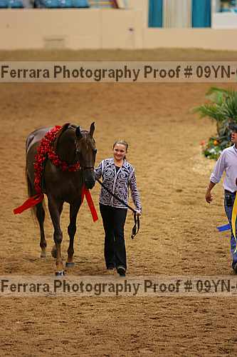 Proof 09yn-06390