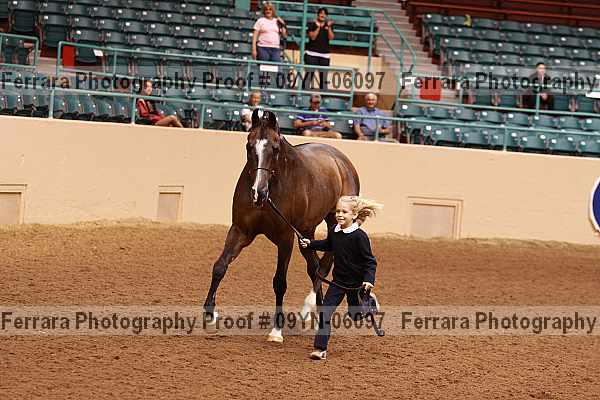 Proof 09yn-06097