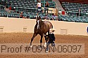 09yn-06097 proof