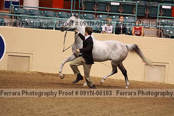 Proof 09yn-06103