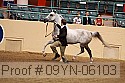 09yn-06103 proof