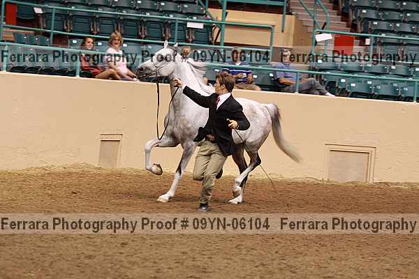 Proof 09yn-06104